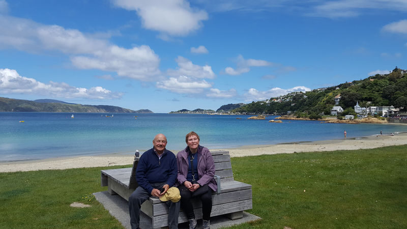 Wellington City Highlights & Coastal Half-Day Tour - Oriental Bay and Evans Bay Parade