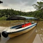 Weston River Wildlife and Fireflies Cruise Day Tour - Coastal views and an unhurried pace