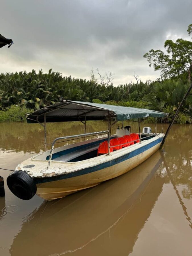 Weston River Wildlife and Fireflies Cruise Day Tour - Coastal views and an unhurried pace