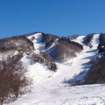 White PIA Takasu 1-DAY Lift Ticket & Round-Trip Bus from Nagoya - What 13 courses mean for your day