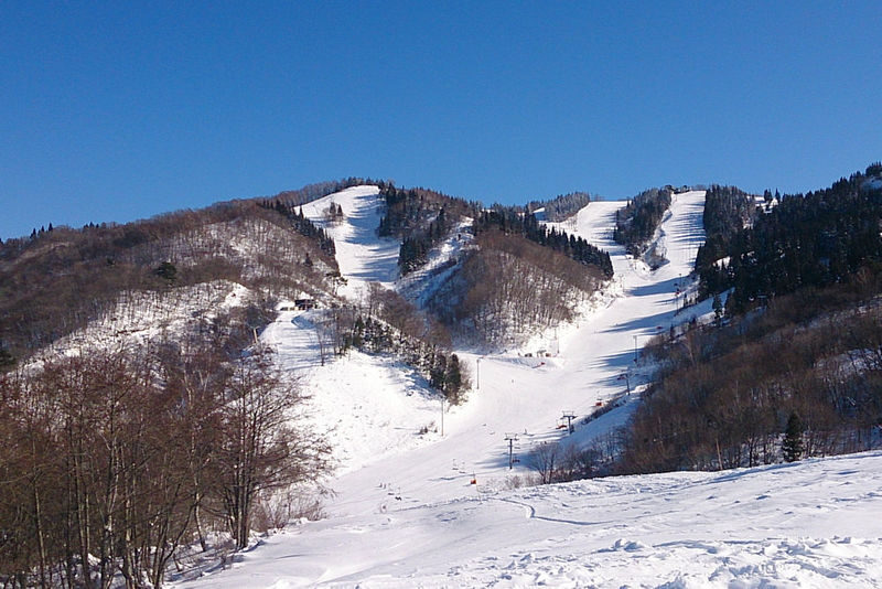 White PIA Takasu 1-DAY Lift Ticket & Round-Trip Bus from Nagoya - What 13 courses mean for your day