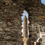 Wicklow, Glendalough, Waterfall & Sheepdog Demo from Dublin - Powerscourt Waterfall: woodland and a short stop