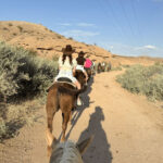 Wild West Sunset Horseback Ride with Dinner in Las Vegas - Getting matched with a horse and finding your rhythm