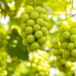 Winery & Oshino Hakkai Full-Day Tour with Fruit Picking - Oshino Hakkai rewards a slower look
