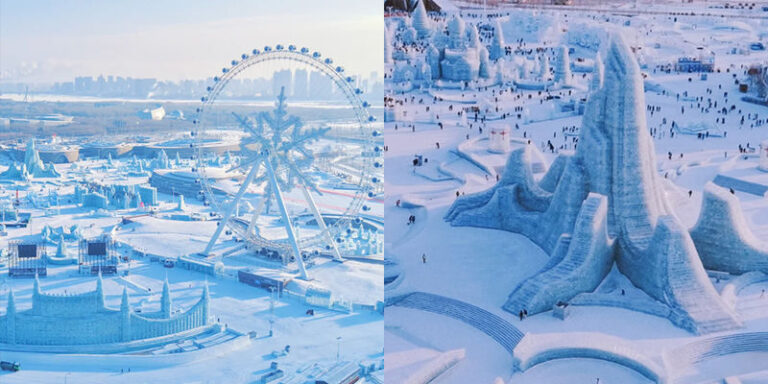 Winter in the Northern Country | Northeast Harbin and China Snow Town Private 3-Day Tour - Day two: The long road to Snow Town