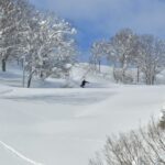 Winter limited ski private car charter: GALA Yuzawa, Naeba NAEBA, Hakuba ski resort (ski day trip/one-way transfer) - GALA Yuzawa or Naeba: choose the slope, not just the car