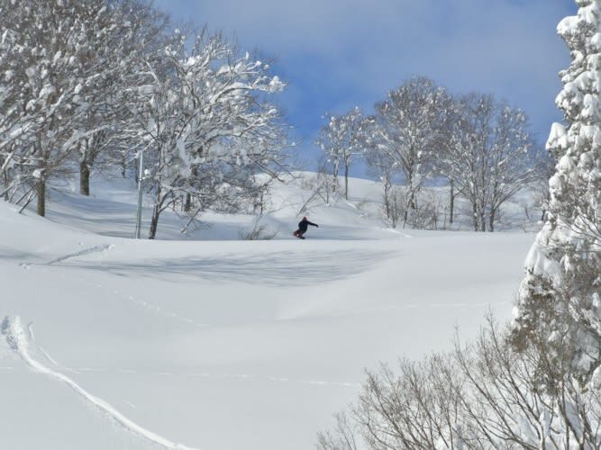 Winter limited ski private car charter: GALA Yuzawa, Naeba NAEBA, Hakuba ski resort (ski day trip/one-way transfer) - GALA Yuzawa or Naeba: choose the slope, not just the car