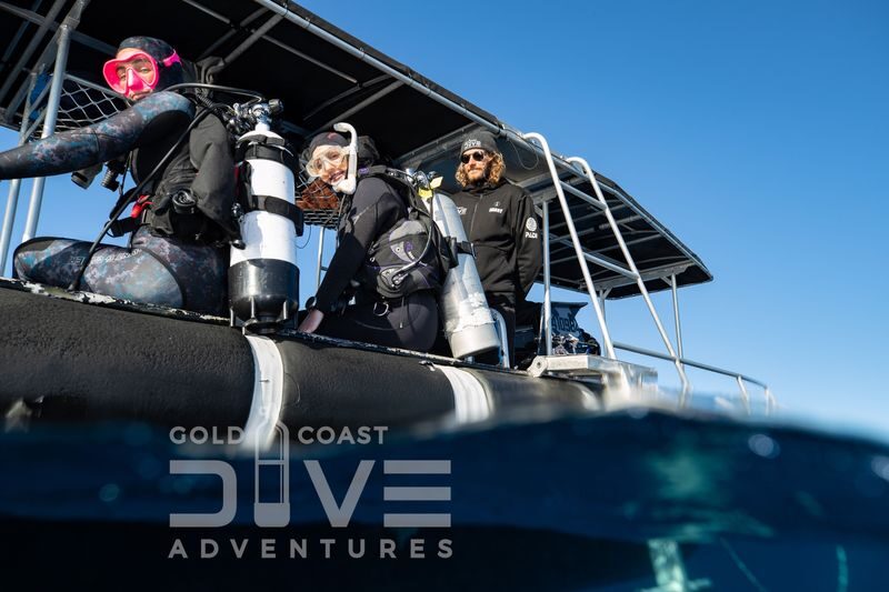 Wonder Reef Diving Experience in Gold Coast - The six-hour outing, from marina to second site