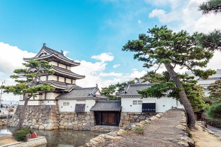 Wonders of Japan end Tokyo 15-Day Tour by Europamundo (2026-27 Departures) - Mount Fuji and Kyoto: lake air, hot springs and temples