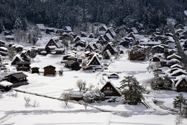 World Heritage Shirakawa-go and KanazawaTour by Professional guide - Shirakawa-go: farmhouses, mountain views, and free time