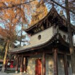 Xian Giant Wild Goose Pagoda and City Wall One-Day Tour - Bell and Drum Towers: confirm the plan
