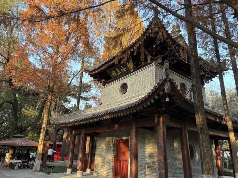 Xian Giant Wild Goose Pagoda and City Wall One-Day Tour - Bell and Drum Towers: confirm the plan