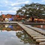 Xiamen Yunshuiyao Ancient Town Full-Day Guided Tour - Why the Tulou buildings reward a guided visit