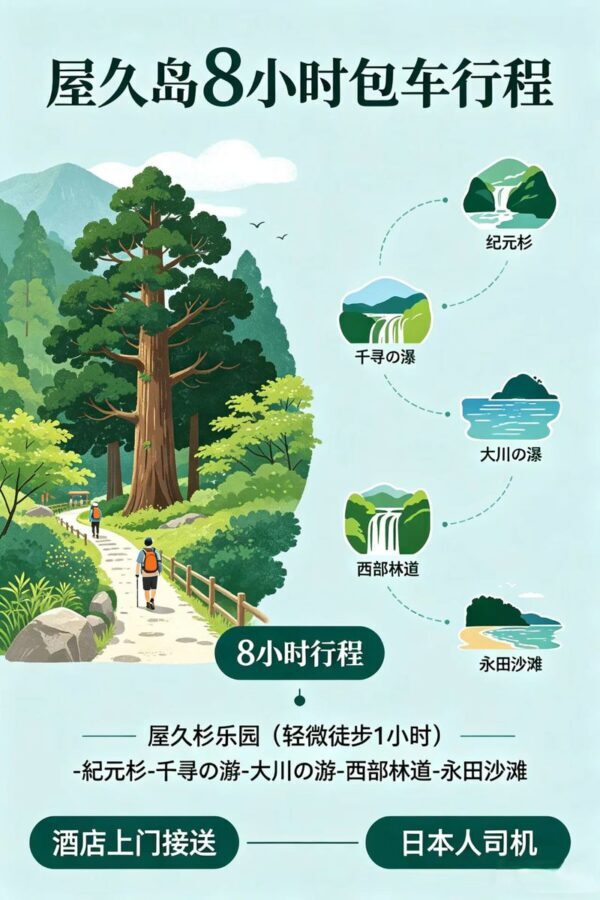 Yakushima Yakusugi Land & Waterfalls Private Tour - Waterfalls bring a different kind of stop