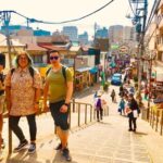 Yanaka Historical City Exploration Walking Tour in Tokyos Old Town - A neighborhood route through Hebi-michi and a gallery