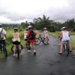 Yogyakarta Plaosan Temple Half-Day Private Cycling Tour - Plaosan Temple, before the village ride