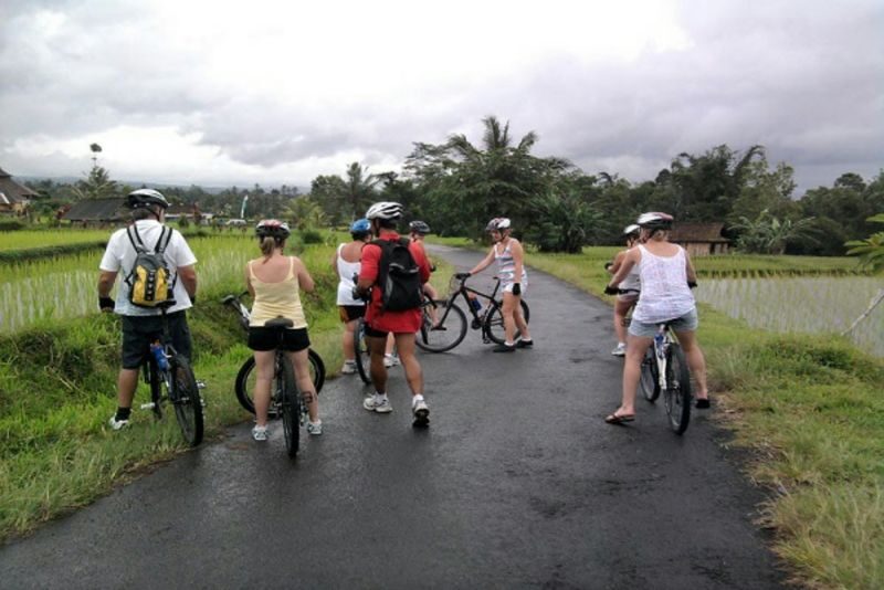 Yogyakarta Plaosan Temple Half-Day Private Cycling Tour - Plaosan Temple, before the village ride