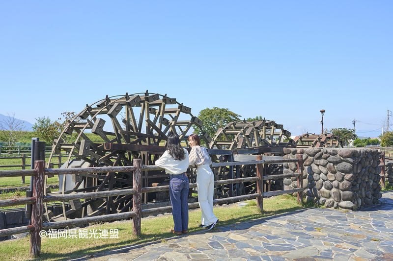 YokaBus Fukuoka Strawberry Picking and Sakura Dyeing Experience - A rural pause at Sanren Suisha no Sato Asakura