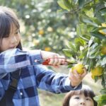 YokaBus Kawachi Wisteria Garden, Seasonal Fruit Picking and Kokura Castle - Setting off from Hakata Station