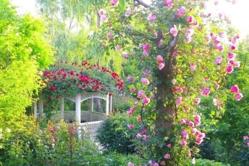 Yokohama English Garden - What your visit looks like