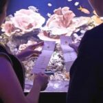 Yokohama Kaiun Aquarium Fortune Aquarium Admission Ticket (Yokohama) - What the visit feels like