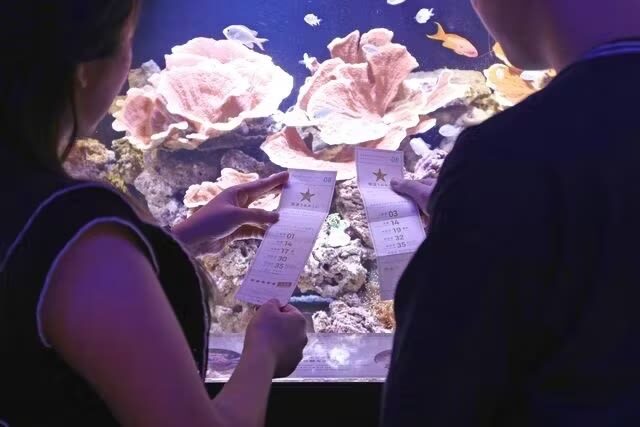 Yokohama Kaiun Aquarium Fortune Aquarium Admission Ticket (Yokohama) - What the visit feels like
