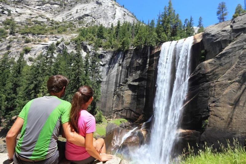 Yosemite National Park Guided Tour - Tuolumne Grove adds a walk among the big trees
