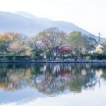 Yufuin & Hita Full-Day Tour with Yufuin no Mori Option - Yufuin’s scenery, shops and local tastes