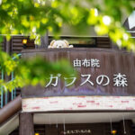 Yufuin no Mori Train Experience | Beppu Hell Tour + Kyushu Natural Animal Park + Yufuin Day Trip (Chinese and English Guides) - Mount Yufu: a quick view of Bungo Fuji