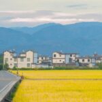Yunnan Kunming & Dali & Lijiang 6-Day Tour (Includes Travel Photography + Aerial Photography Dual Experience) - Day 1: Arrive in Kunming and settle in