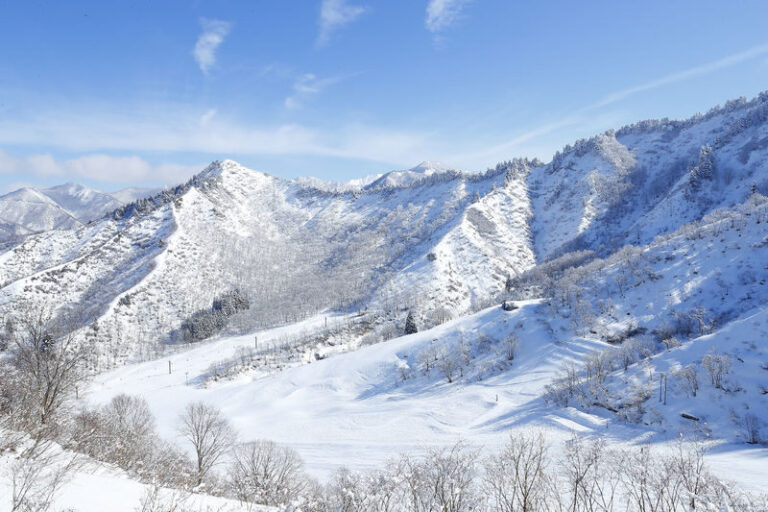 Yuzawa Nakazato Snow Resort Lift Ticket with Gear Rental - What the package covers, and what it does not