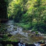 Zhangjiajie Grand Canyon and Glass Bridge Tickets - From the bridge to the river trail