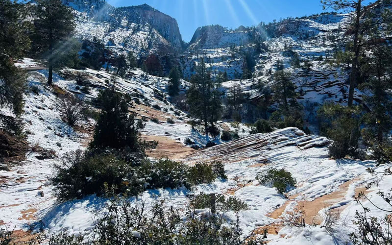 Zion National Park Canyon Overlook and Riverside Walk Hiking Tour - Canyon Overlook: a short hike with a payoff