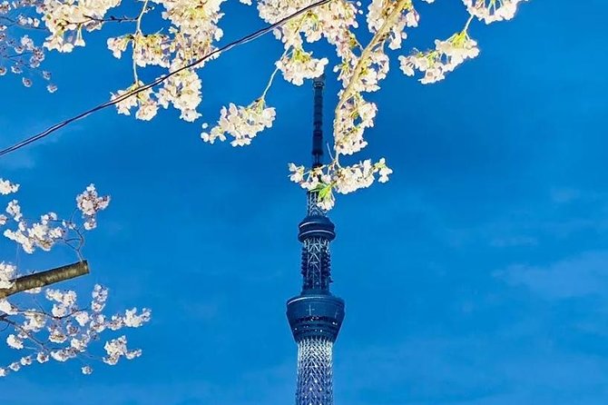 1 Day Private Charter Tokyo Sight Seeing Tour With Guide - Inclusions