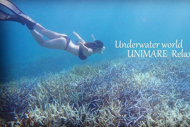 Amami Oshima Skin Diving Photo & Movie Tour! - Equipment Provided