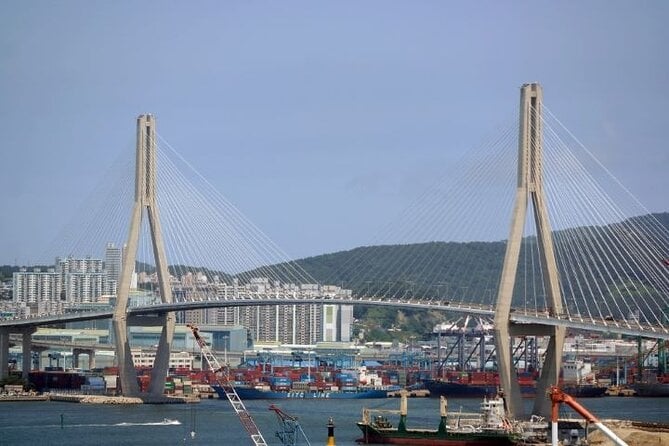 Busan Private Full-Day Sightseeing Tour With Custom Itinerary - Overview of the Tour