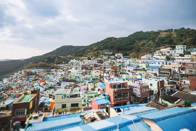 Cruise Layover : Small Group Busan Essential Tour - Additional Information