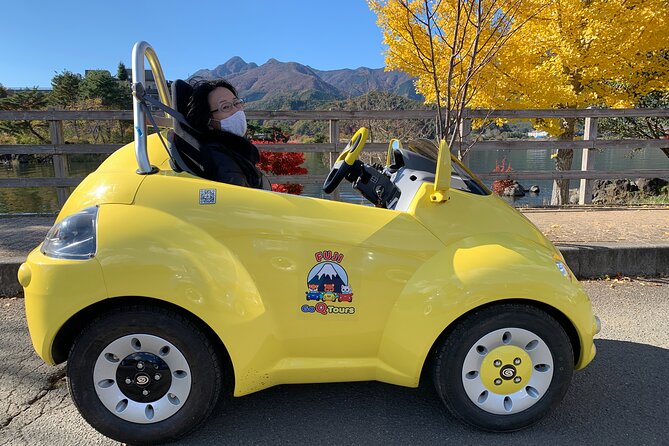 Cute & Fun E-Car Tour Following Guide Around Lake Kawaguchiko - E-Car Rental Information