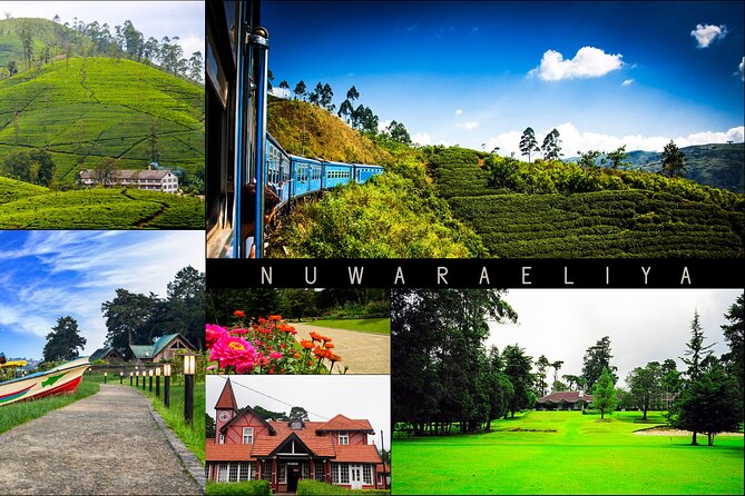 Day Tour to Nuware Eliya (Littel England) From Kandy - Tour Overview
