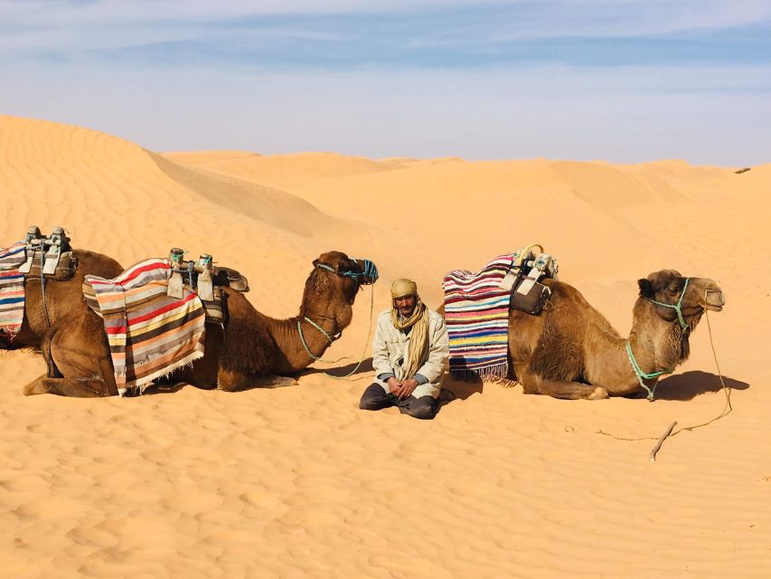 Djerba: 3 Days Trekking Cheninni Ksar Ghilane Sahara Desert - Day 2 Highlights