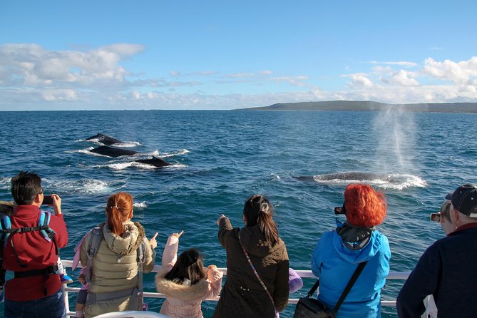 Dunsborough Whale Watching Eco Tour - Tour Overview