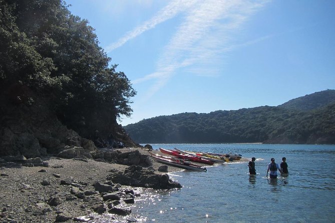 Explore the Nature That Inspired Ghibli Movies by Kayak (Half Day) - Cancellation Policy