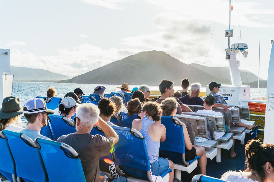 From Cairns: Fitzroy Island Full-Day Adventure Tour - Snorkeling and Marine Life