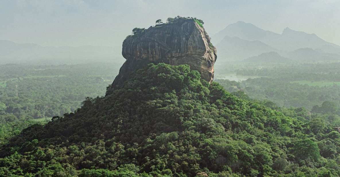 From Colombo/Negombo to Sigiriya, Dambulla Day Trip & Safari - Highlights