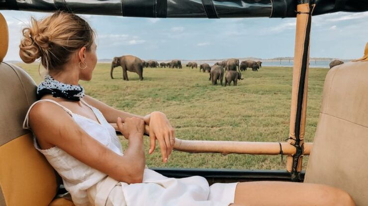 From Ella: Yala National Park Safari Tour in a 4x4 - Safari Experience