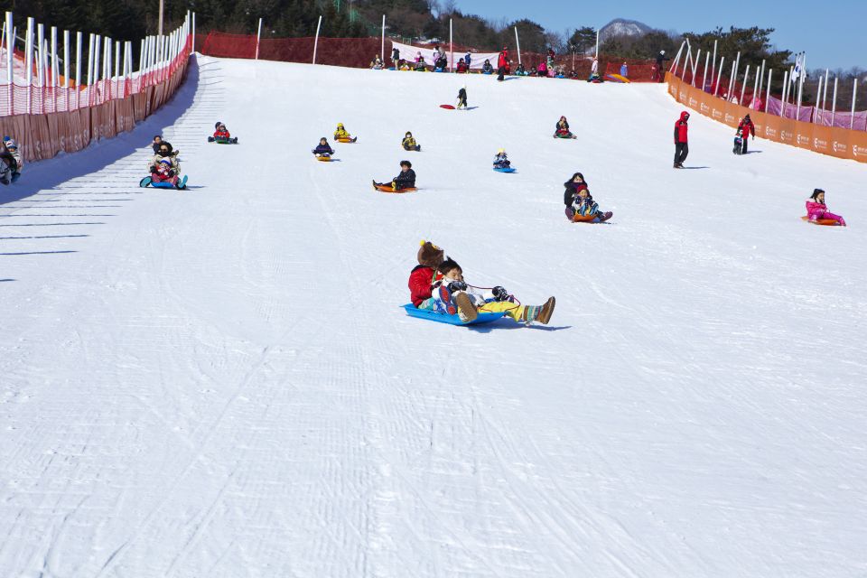 From Seoul: Elysian Gangchon Ski Resort Winter Fun Day Tour - Experience at Elysian Gangchon Ski Resort