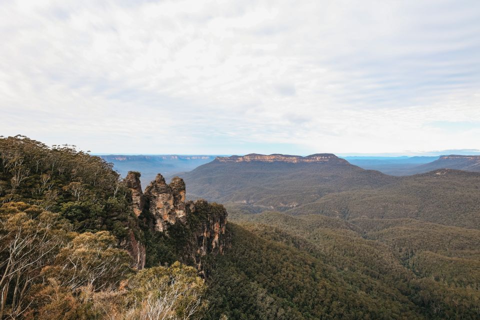From Sydney: Blue Mountains, Scenic World All Inclusive Tour - Tour Highlights