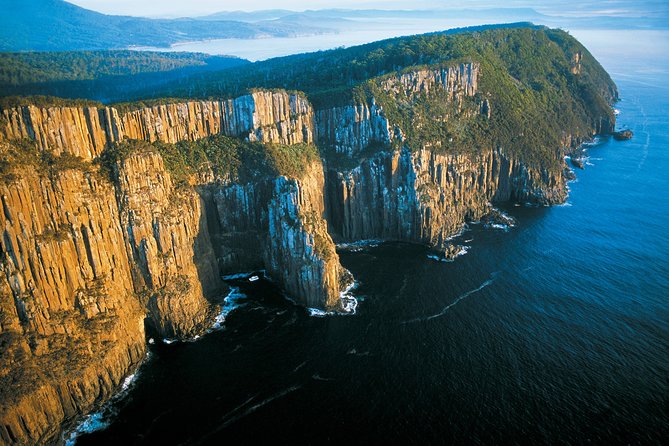 Full-Day Bruny Island Cruises Day Tour From Hobart - Wildlife Encounters