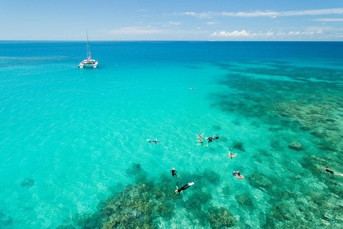 Full-Day Great Barrier Reef Sailing Trip - Snorkeling and Diving Opportunities