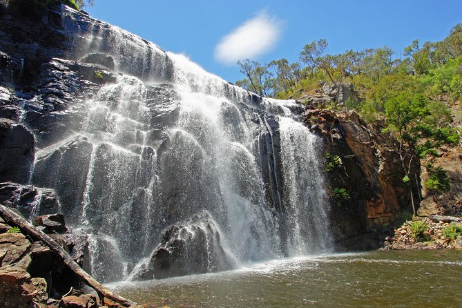Grampians National Park Small-Group Eco Tour From Melbourne - Cancellation Policy and Terms & Conditions